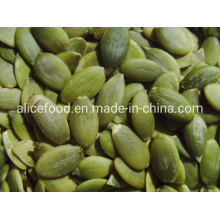 High Quality China Manufacturing Shine Skin Pumpkin Seed Kernels